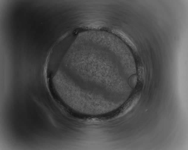 X0000087580634200705181201