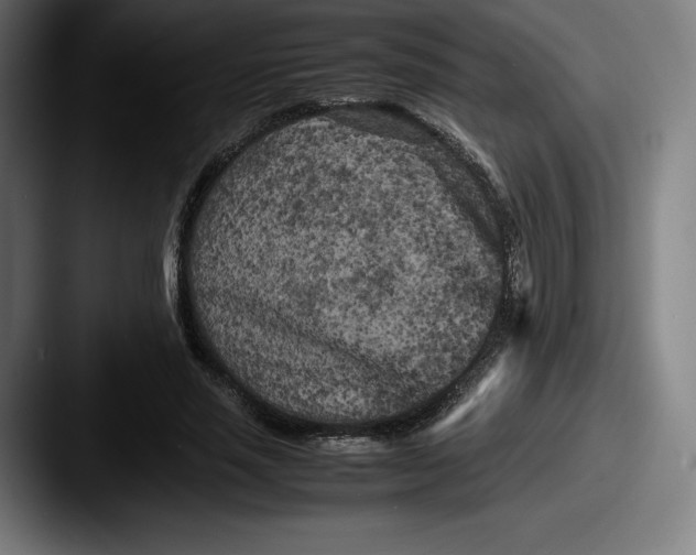 X0000087580637200705181201