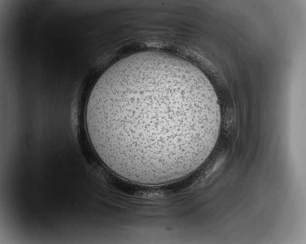 X0000087580639200705181202