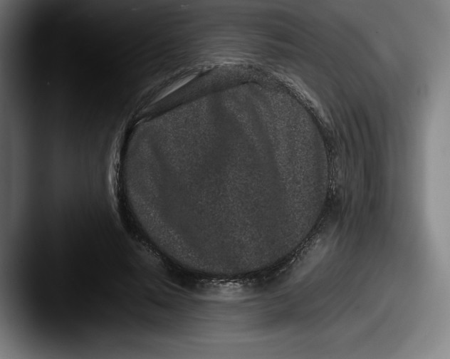 X0000087580640200705181202