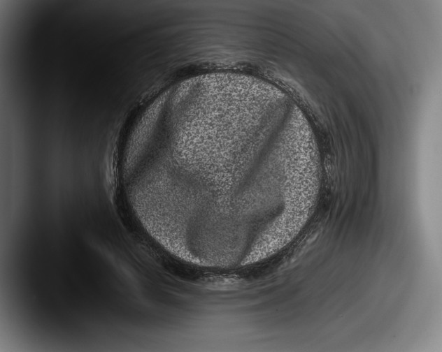 X0000087580642200705181202
