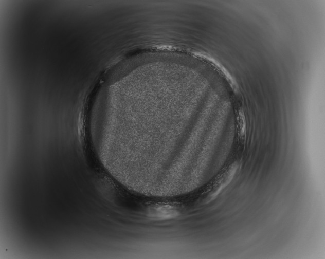 X0000087580643200705181202