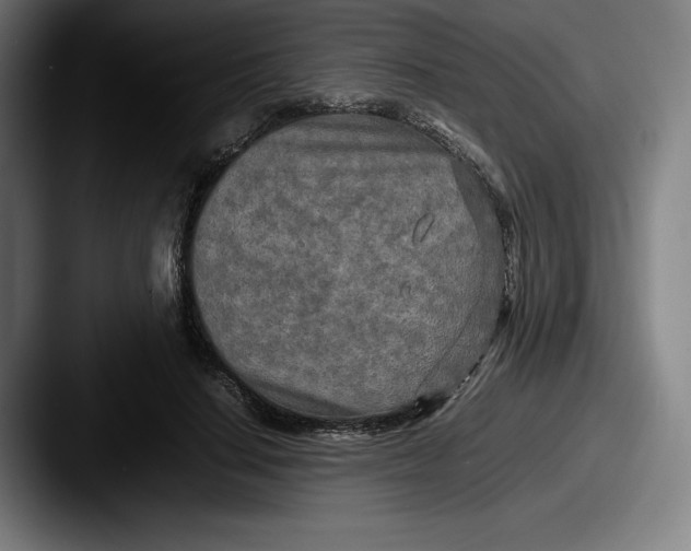X0000087580644200705181202