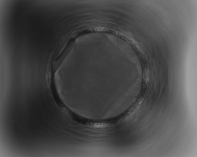 X0000087580645200705181202