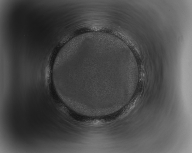X0000087580646200705181202