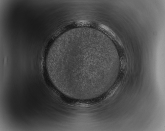 X0000087580648200705181202