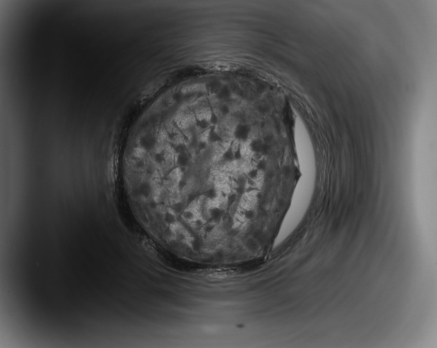 X0000087580652200705181202
