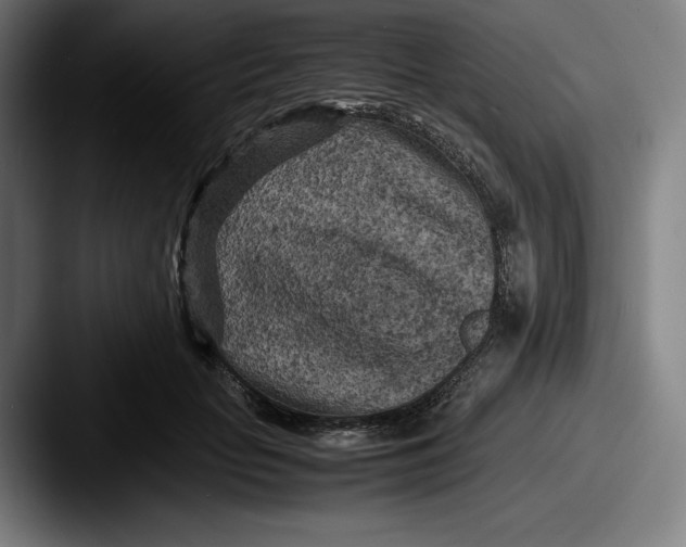 X0000087580653200705181202