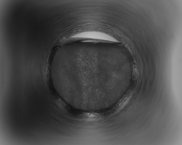 X0000087580654200705181202