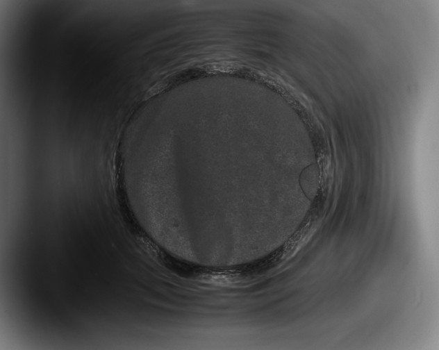 X0000087580655200705181202