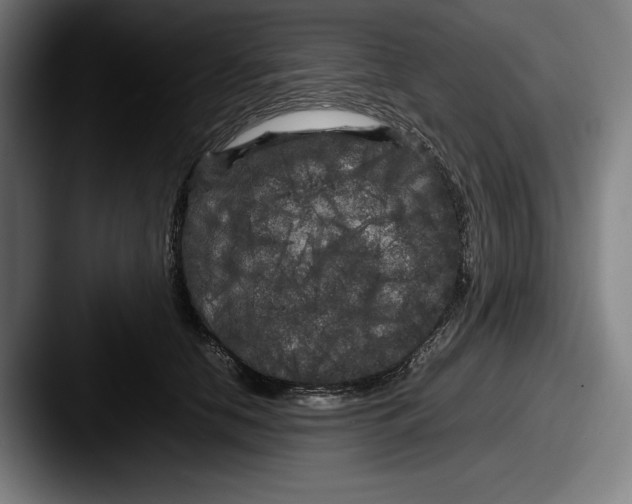 X0000087580658200705181202