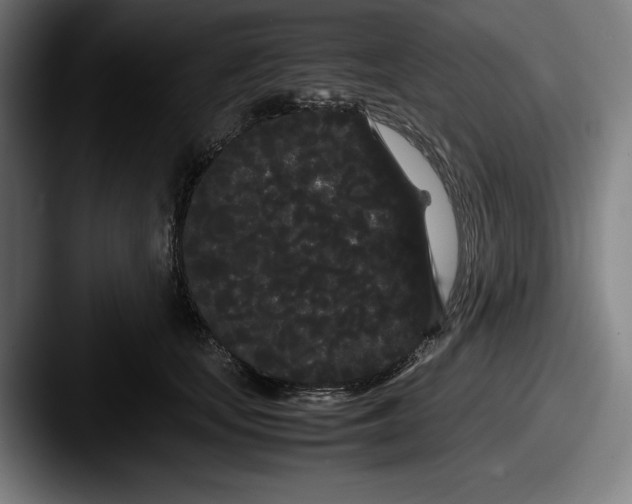 X0000087580659200705181202
