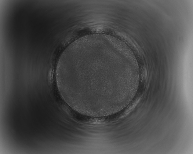 X0000087580660200705181202