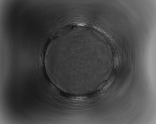 X0000087580661200705181202