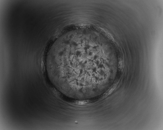 X0000087580662200705181202