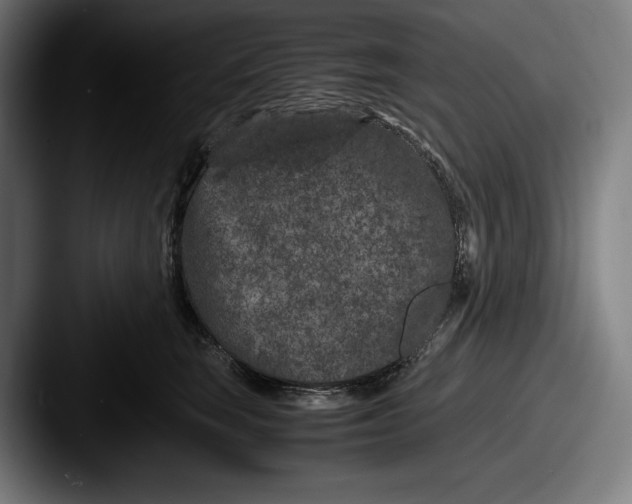 X0000087580663200705181202