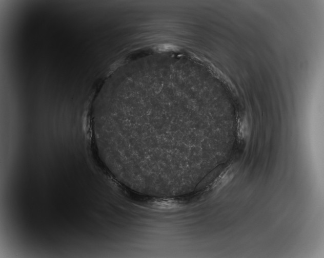 X0000087580666200705181202