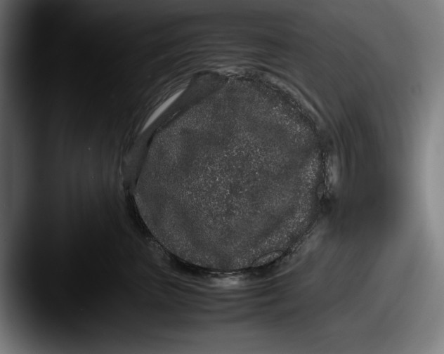 X0000087580667200705181202