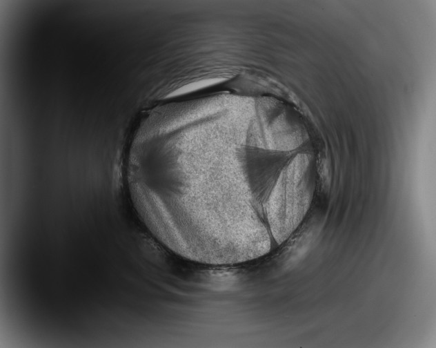 X0000087580668200705181202