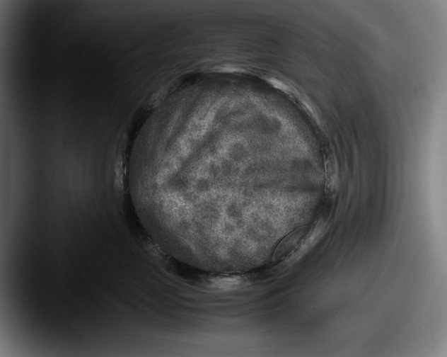 X0000087580669200705181202