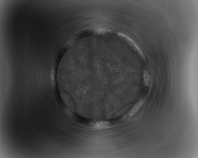 X0000087580670200705181202