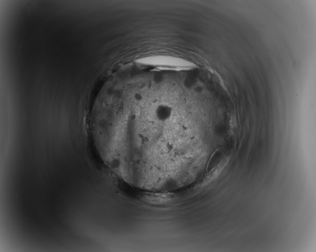 X0000087580671200705181202