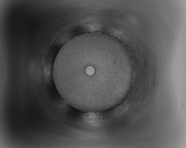 X0000087580672200705181202