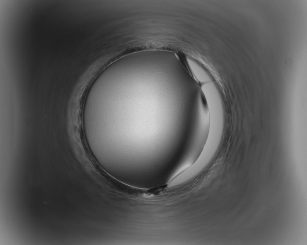X0000087580673200705181201