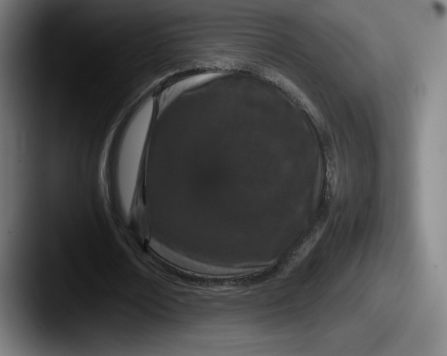 X0000087580674200705181201