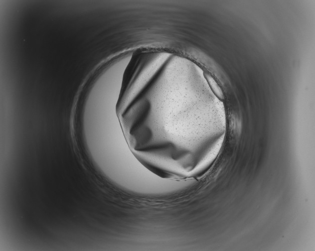 X0000087580676200705181201