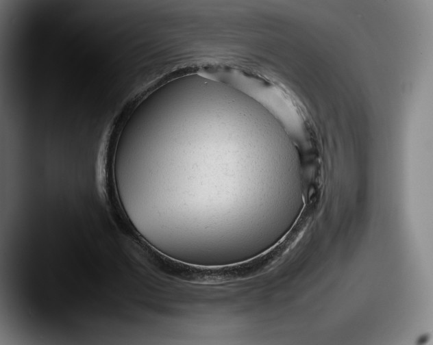 X0000087580677200705181201
