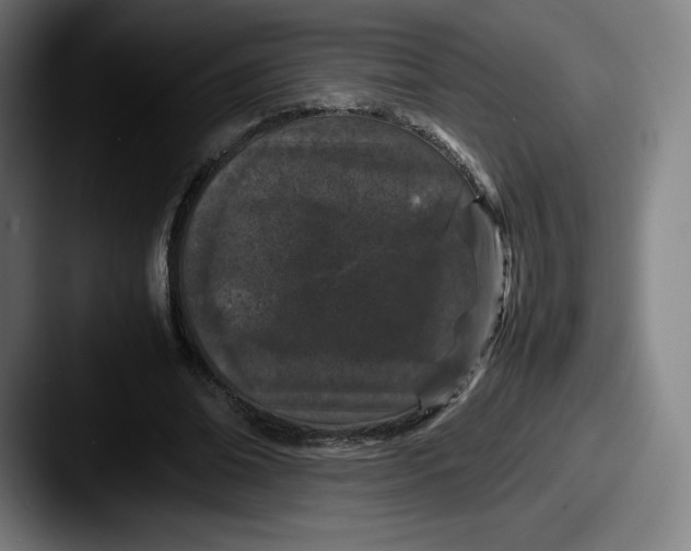 X0000087580678200705181201