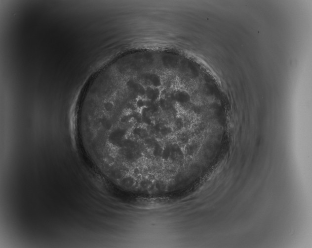 X0000087580679200705181201