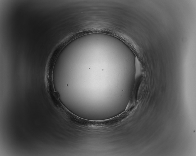 X0000087580680200705181201