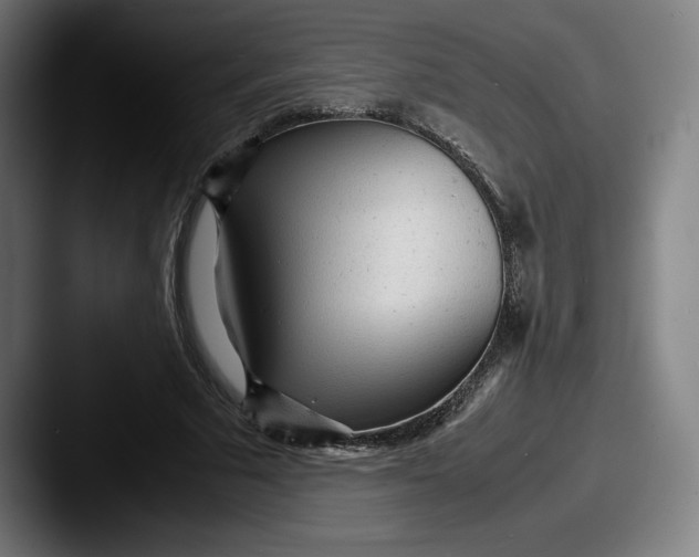 X0000087580681200705181201