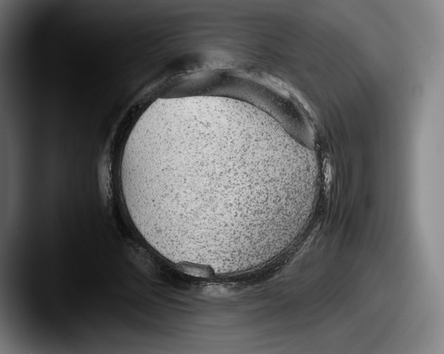 X0000087580684200705181201