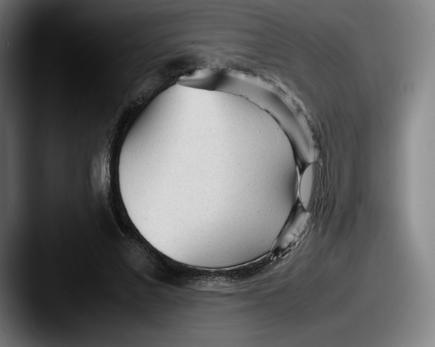 X0000087580685200705181201