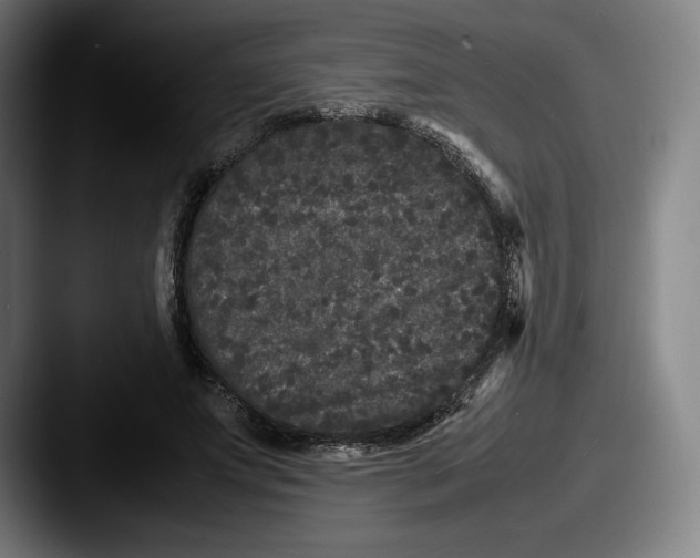 X0000087580687200705181201