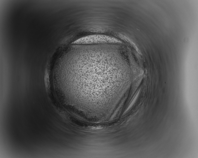 X0000087580688200705181201