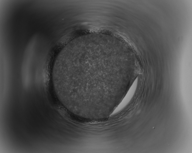 X0000087580691200705181201