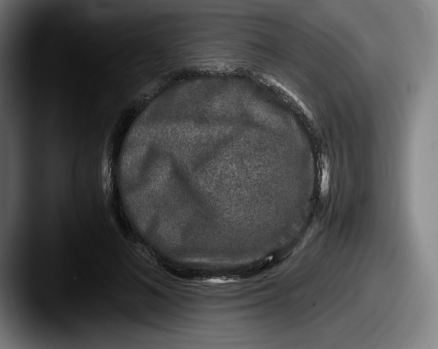 X0000087580692200705181201