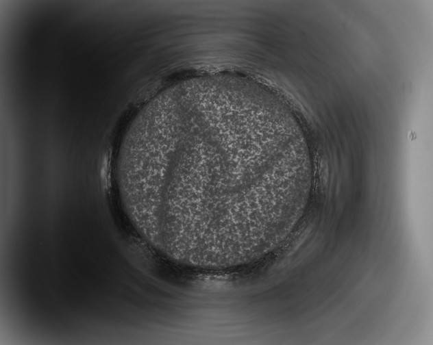 X0000087580694200705181201