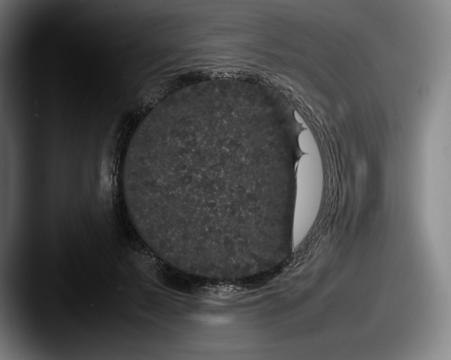 X0000087580695200705181201