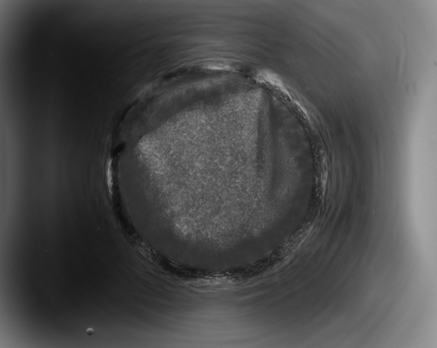 X0000087580696200705181201