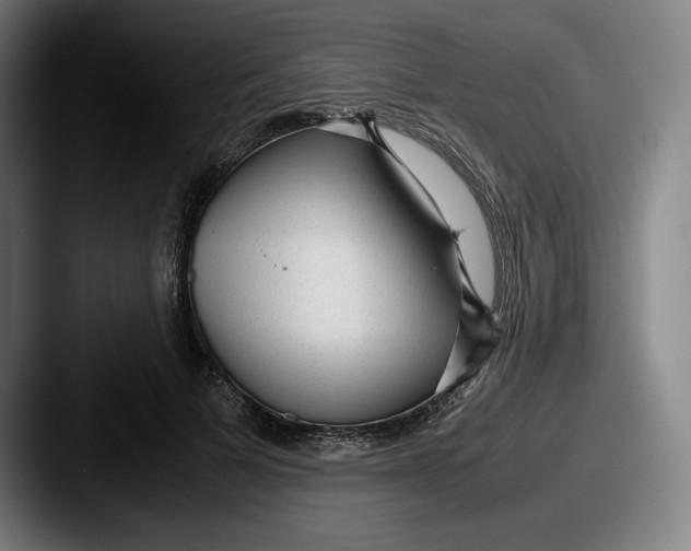 X0000087580697200705181201