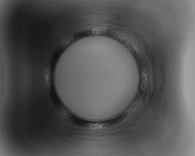 X0000087580698200705181201