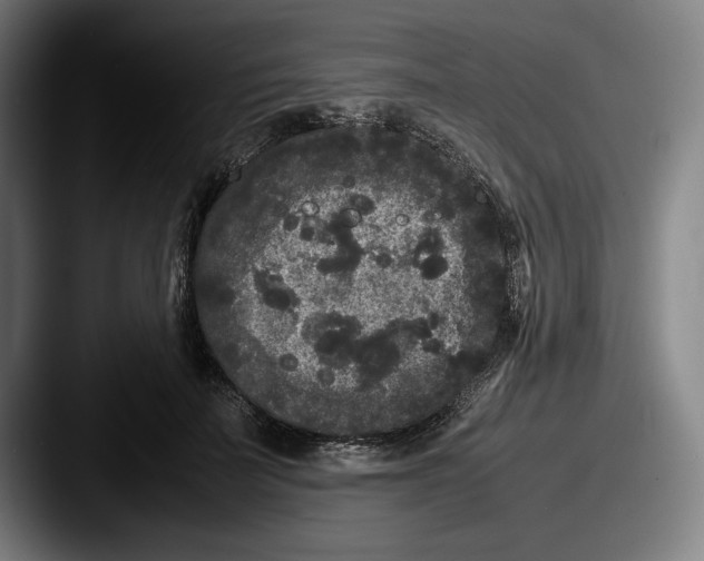 X0000087580699200705181201