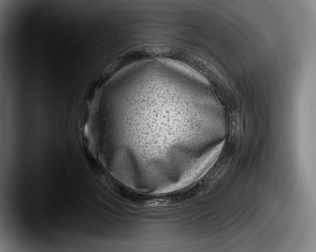 X0000087580700200705181201