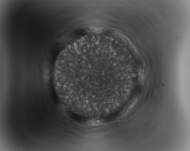 X0000087580701200705181201