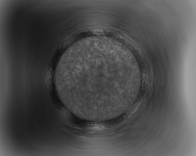 X0000087580702200705181201